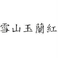 雪山玉蘭紅