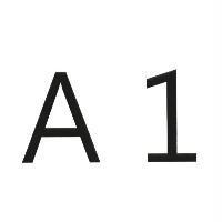 A1
