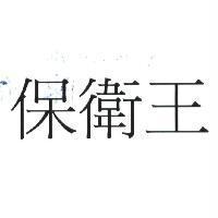 保衛王