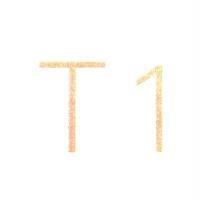 T1