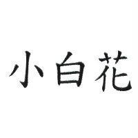 小白花