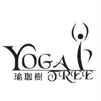 瑜珈樹 YOGA TREE 及圖