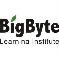 Big Byte 及圖