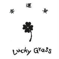 幸運草 Lucky Grass 及圖
