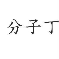 分子丁