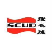 飛毛腿 SCUD 及圖