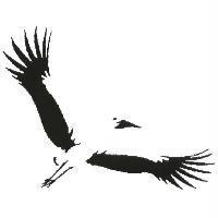鳥圖