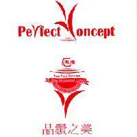 晶鑽之美 Perfect Concept 及圖