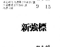 新強標
