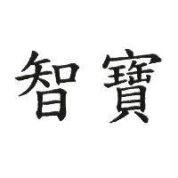 智寶