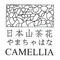 日本山茶花 CAMELLIA やまちゃはな 及圖