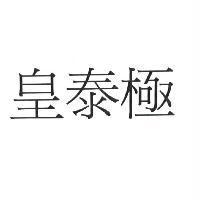 皇泰極