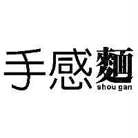 手感麵 shou gan