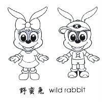 野蠻兔及圖 wild rabbit