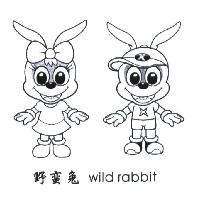 野蠻兔及圖 wild rabbit