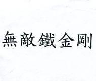 無敵鐵金剛