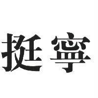 挺寧