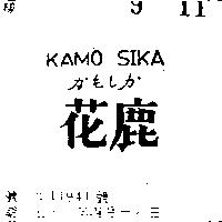 花鹿 KAMO SIKA 