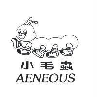 小毛蟲 AENEOUS 及圖