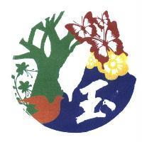 玉及圖