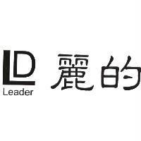 麗的 Leader