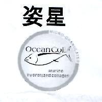 姿星 Ocean Coll 及圖