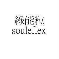 綠能粒 souleflex