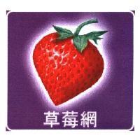 草莓網及圖