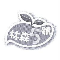 林森 5 號及圖