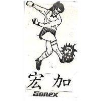 宏加及圖 SONEX 