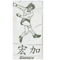 宏加 SONEX 及圖