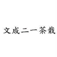 文成二一茶栽