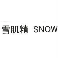 雪肌精 SNOW