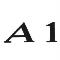 A1