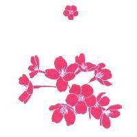 剪影花朵圖(彩色)