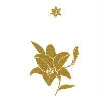 剪影花朵圖(彩色)