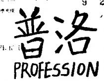 普洛 PROFESSION 