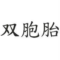 双胞胎