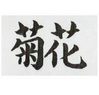 菊花