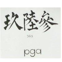 參陸玖 PGA 369