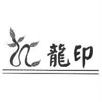 龍印及圖