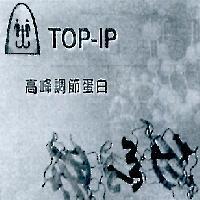 TOP-IP 高峰調節蛋白及圖