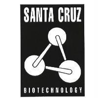 SANTA CRUZ BIOTECHNOLOGY logo