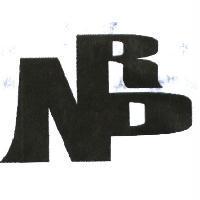 昱達公司英文名稱之簡稱 New Rise Power
