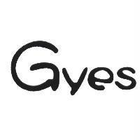 Gyes 設計字