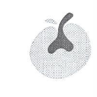 金寶軒事業股份有限公司標章