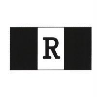 郝四維郝八德郝中華之柏拉圖共和國 R 字設計圖