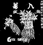 人及圖 GINSENG 