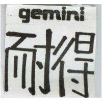 耐得 GEMINI