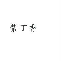 紫丁香